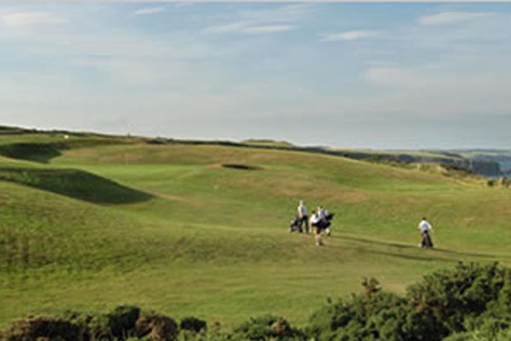 stonehaven golf buggy